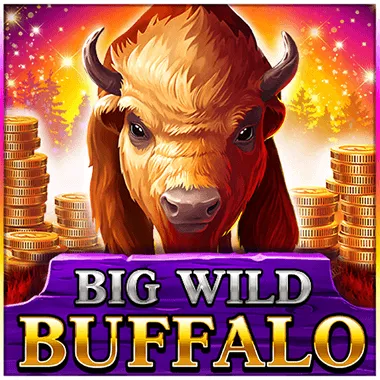 Play Big Wild Buffalo at KU9 Casino